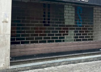 Locale Commerciale Mantova - foto 6