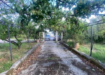 Giardino - Villa via Francesco Cangialosi, Carini - foto 15