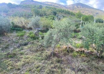 Terreno - Villa via Francesco Cangialosi, Carini - foto 26