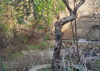 index1.jpg - Terreno edificabile Siracusa - foto 3