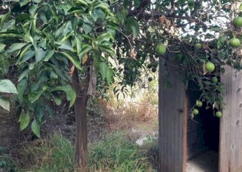 index3.jpg - Terreno edificabile Siracusa - foto 5