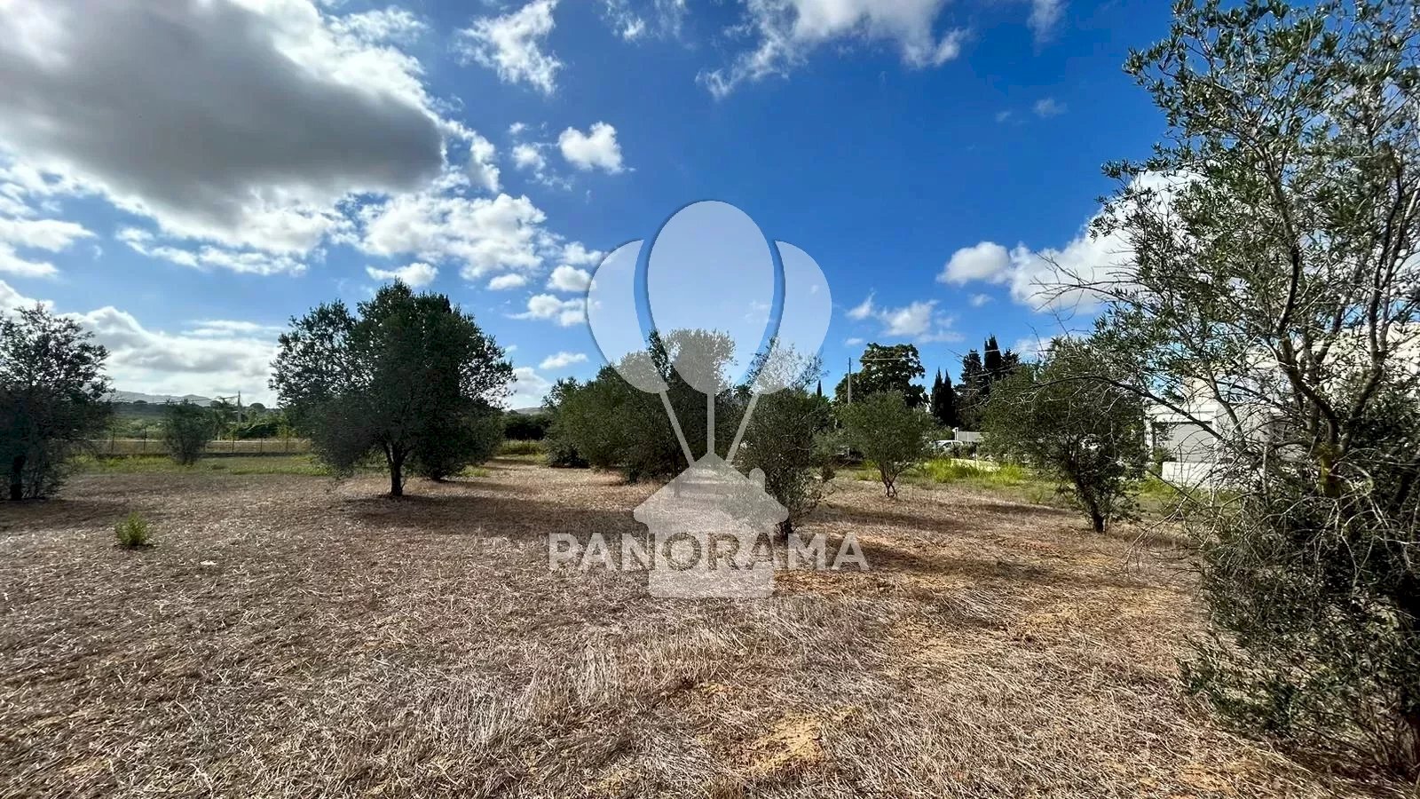 Casale Strada Statale, Partinico - foto 2