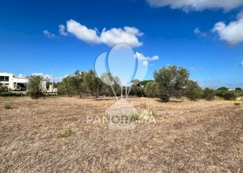 Casale Strada Statale, Partinico - foto 3