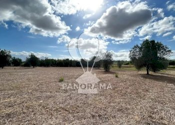 Casale Strada Statale, Partinico - foto 5