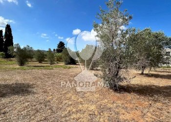 Casale Strada Statale, Partinico - foto 6