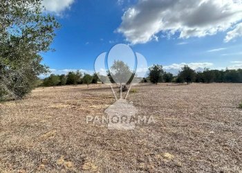 Casale Strada Statale, Partinico - foto 7