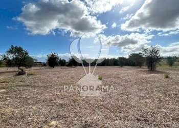 Casale Strada Statale, Partinico - foto 8