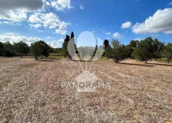 Casale Strada Statale, Partinico - foto 9