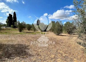 Casale Strada Statale, Partinico - foto 11