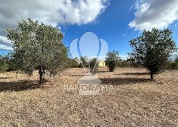 Casale Strada Statale, Partinico - foto 12