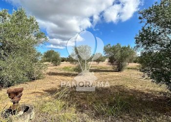 Casale Strada Statale, Partinico - foto 13