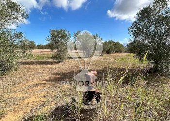 Casale Strada Statale, Partinico - foto 14