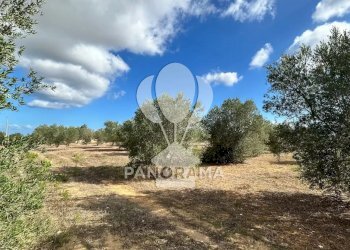 Casale Strada Statale, Partinico - foto 15