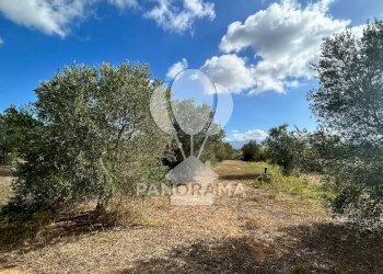 Casale Strada Statale, Partinico - foto 16