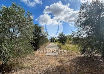 Casale Strada Statale, Partinico - foto 17