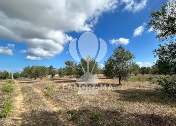 Casale Strada Statale, Partinico - foto 18