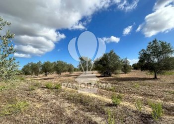 Casale Strada Statale, Partinico - foto 20