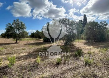 Casale Strada Statale, Partinico - foto 22