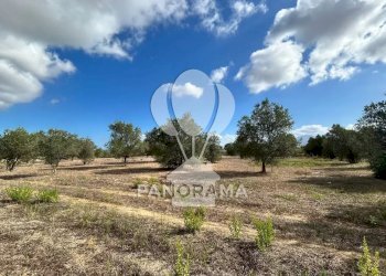 Casale Strada Statale, Partinico - foto 24