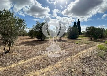 Casale Strada Statale, Partinico - foto 25