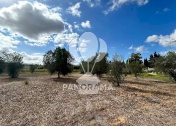Terreno agricolo Strada Statale, Partinico - foto 4