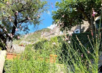 Bilocale Castelbianco - foto 5