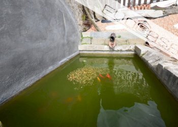 Casa semi indipendente via Gay 4, Prarostino - foto 44