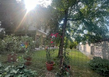 Locale Commerciale Mantova - foto 6