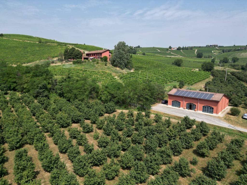 Vista - Terreno agricolo Nizza Monferrato - foto 2