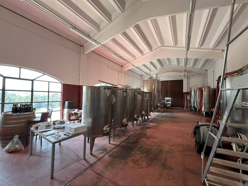 Interno non residenziale - Terreno agricolo Nizza Monferrato - foto 3