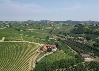 Vista - Terreno agricolo Nizza Monferrato - foto 1