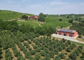 Vista - Terreno agricolo Nizza Monferrato - foto 2
