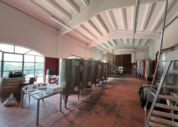 Interno non residenziale - Terreno agricolo Nizza Monferrato - foto 3