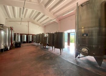 Interno non residenziale - Terreno agricolo Nizza Monferrato - foto 4