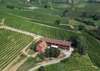 Vista - Terreno agricolo Nizza Monferrato - foto 5