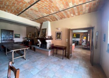 Salone - Terreno agricolo Nizza Monferrato - foto 10