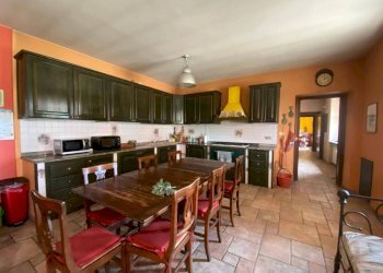 Salone - Terreno agricolo Nizza Monferrato - foto 13