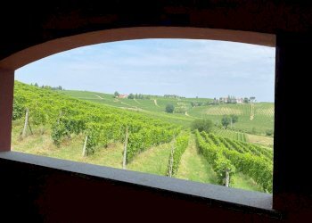 Vista - Terreno agricolo Nizza Monferrato - foto 16