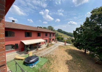 Giardino - Terreno agricolo Nizza Monferrato - foto 27