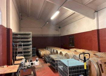 Interno non residenziale - Terreno agricolo Nizza Monferrato - foto 31