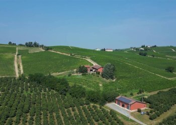 Vista - Terreno agricolo Nizza Monferrato - foto 32