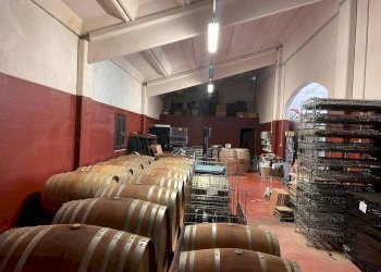 Interno non residenziale - Terreno agricolo Nizza Monferrato - foto 33