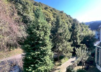 Vista - Trilocale via delle Terme, 44, Roccaforte Mondovì - foto 25