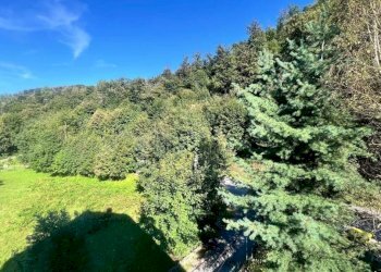 Vista - Trilocale via delle Terme, 44, Roccaforte Mondovì - foto 32