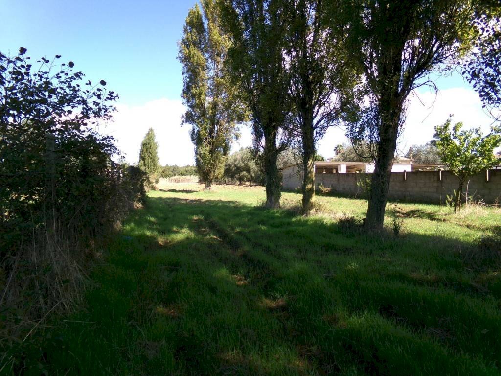 Terreno - Terreno agricolo Stradone del Sandalo, Anzio - foto 1