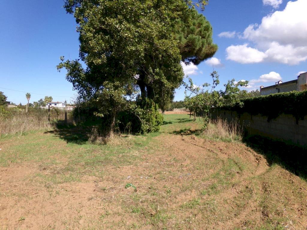 Terreno - Terreno agricolo Stradone del Sandalo, Anzio - foto 2