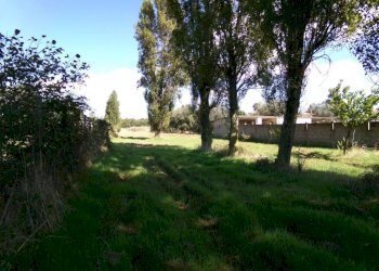 Terreno - Agricultural land Stradone del Sandalo, Anzio - photo 1