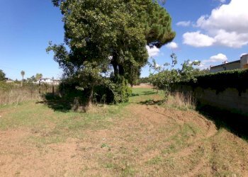 Terreno - Agricultural land Stradone del Sandalo, Anzio - photo 2