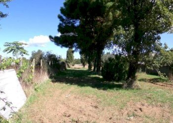 Terreno - Agricultural land Stradone del Sandalo, Anzio - photo 3