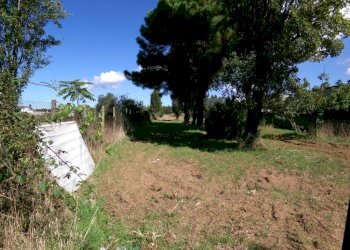 Terreno - Agricultural land Stradone del Sandalo, Anzio - photo 4